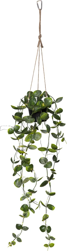 Star Trading hengende dekorasjon Laos hengelampe med kunstig plante og lyslenke – Grønn v:6361698 Star Trading hengende dekorasjon Laos hengelampe med kunstig plante og lyslenke – Grønn v:6361698